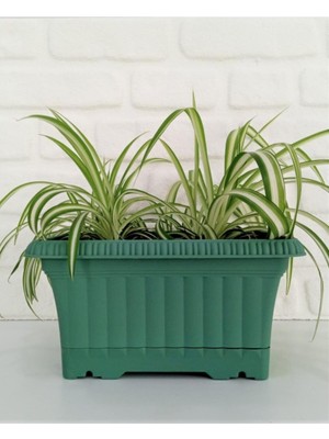 Vera Concept Store Balkon Saksı 3,5 Lt 4 Adet Petrol Yeşili Renkli Saksı Plastik Saksı Ova Saksı Çiçek Saksısı