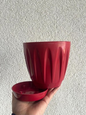 Vera Concept Store Papatya Saksı, 1,5 Lt, Kırmızı, Plastik Çiçek Saksısı Tabaklı