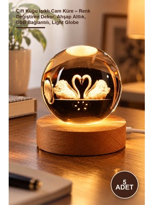 Yenilig 5 Adet Çift Kuğu Işıklı Cam Küre – Renk Değiştiren Dekor, Ahşap Altlık, USB Bağlantılı, Light Globe