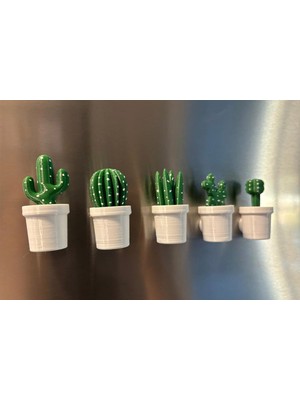 Str Store Buzdolabı Kaktüs Magneti 5'li Set - Beyaz