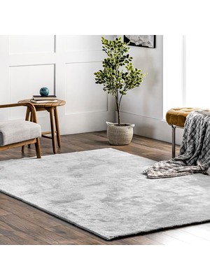 Toyigoo Loni Solid Makinede Yıkanabilir Shag Accent Kilim, 2x3, Açık Gri