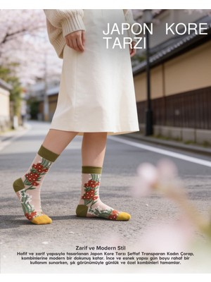 Bolero Japon Kore Tarzı Şeffaf Desenli Kadın Çorap