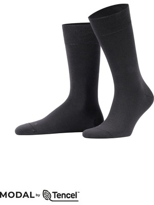 Mısırlı Erkek Modal Ergonomik Tekli Soket Çorap Füme