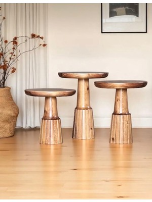 Aselya Home Doğal Ahşap 3'lü Set Mantar Yan Sehpa Modern