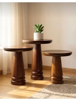 Aselya Home Doğal Ahşap 3'lü Set Mantar Yan Sehpa Modern