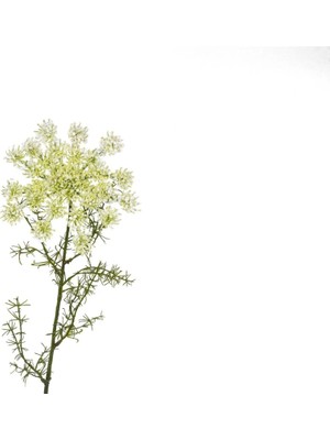 Mikasa Moor Beyaz Pıtırcık Yapay Çiçek 70CM