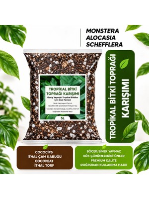 Hüskon Ticaret Plant Home Tropikal Bitki Toprağı Karışımı 5 Litre Monstera Alocasia Schefflera İçin Sinek Yapmayan Formül