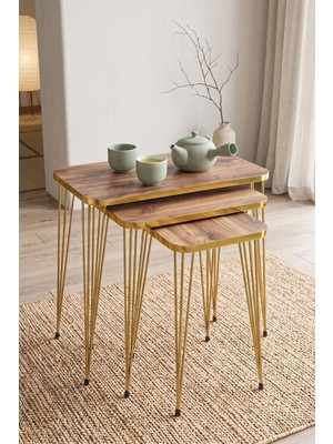 Ulu Pazarlama Gold Tel Zigon Ceviz 3'lü