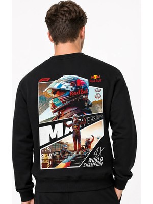 Book OrBook Max Verstappen Redbull F1 Sweatshirt Erkek (YSW363)