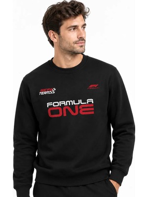 Book OrBook Formula One Racing F1 Sweatshirt Erkek (YSW349)