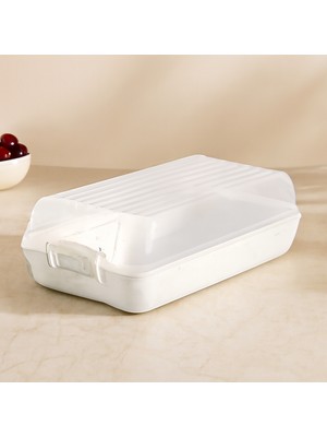 Str Store Şeffaf Kapaklı Buzdolabı Organizeri 320X183X103 mm