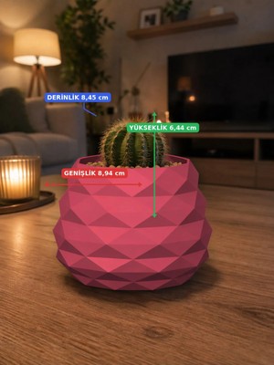 Besing Geometrik Mini Kaktüs Saksısı | Dekoratif Masa Üstü Saksı | 3D Baskı