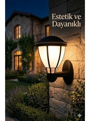 SBN - Store Kupa Serisi Bahçe Duvar Apliği 37 cm - Siyah E27 Duylu Zita Dış Mekan Lambası - IP54 Su Geçirmez, Uv Korumalı Modern Tasarım (Ampul Hariç)
