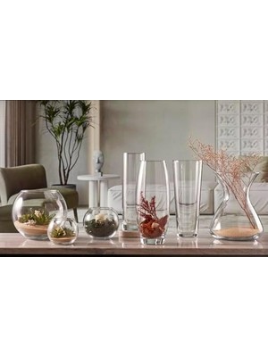 SBN - Store Prime Botanıca 160 mm Tekli Hediyelik Kutu