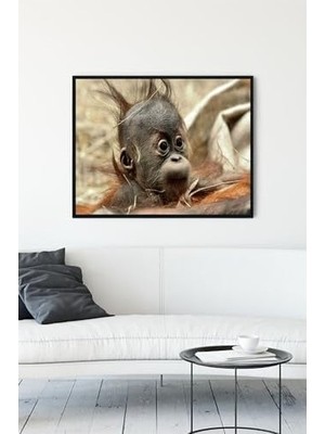 SBN - Store (PSTER13936) Yavru Eğlenceli Mizahi Çerçeveli Tablo (50X70CM)