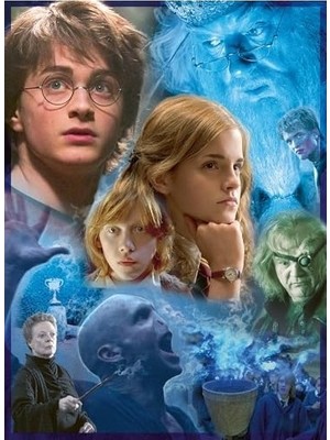 SBN - Store Prime 500 Parçalı Puzzle Potter