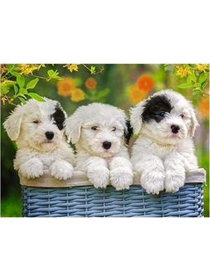 SBN - Store Prime 200 Parça Yapboz Puppies