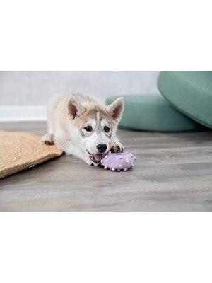 SBN - Store Prime Yavru Köpek Mini Dambıl Lateks 10 cm