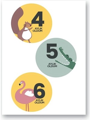 SBN - Store Prime Lecolor Bebek Seti