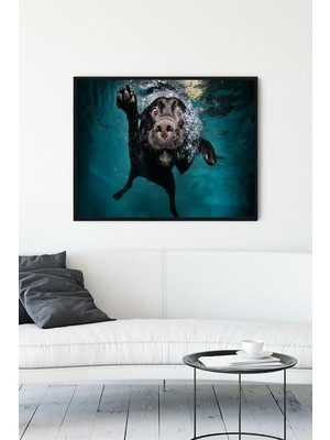 Yüzen Köpek Eğlenceli Mizahi Çerçeveli Tablo 50X70CM