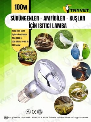 Die Grup Tnyvet 100 Watt Kızılötesi/gün Işığı Güneş Lambası Isıtıcı Lambalar Sürüngenler, Amfibiler ve Kuşlar Için          [enerji Sınıfı A]