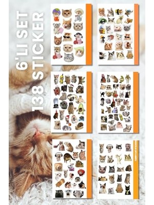Die Grup 6'lı Kedi Sticker, Çıkartma