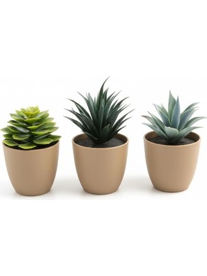 Üçlü Mini Yapay Sukulent Seti – 8 cm Saksı, Dekoratif Küçük Bitki Seti, Gerçekçi Görünüm, Salon Ofis Ev Masa Üstü Süs Bitkisi, Bakım Gerektirmez, Modern Dekor