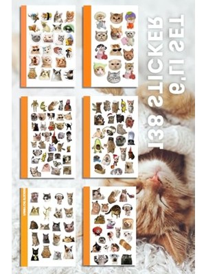 Die Grup 6'lı Kedi Temalı Sticker Seti, Çıkartmalar