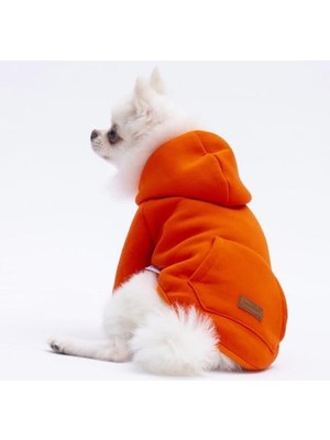Die Grup Kedi ve Köpek Hoodie, Turuncu Kanguru Cepli, M Beden