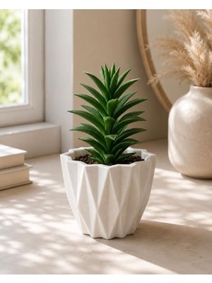 Die Grup Geometrik Desenli Beyaz Saksı, Masaüstü, Modern Minimalist Stil, Sukulent ve Kaktüs