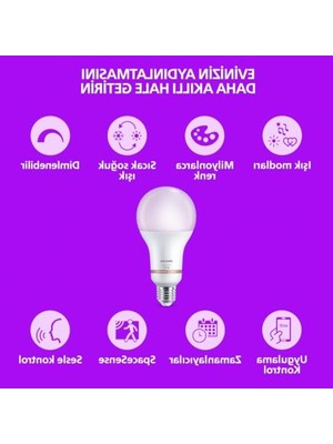 Die Grup Rgb LED Ampul, 60W Eşdeğer 2'li Paket ile Akıllı Uyum