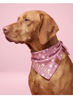 Die Grup Isme Özel Köpek Bandana Isimli Köpek Fular Kişiselleştirilebilir Bandana (Yünlü Ekoseli) I Küçük, Orta ve Büyük Irk I Renk Seçenekli (Bordo, Large)