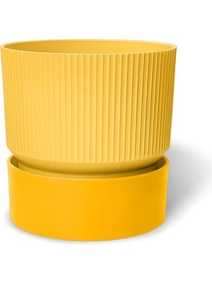 Die Grup Iksora Saksı Dekoratif Tabaklı Çiçek Kaktüs Saksısı Mat Plastik (1 Adet, Sarı, 4 Litre)