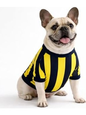Die Grup Fenerbahçe Sarı Lacivert Pet Tshirt