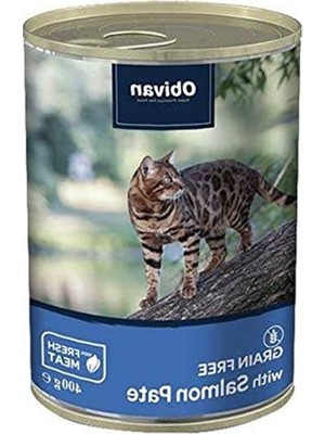 Die Grup Tahılsız Somon Balıklı 400 gr Konserve, 12 Adet Paket