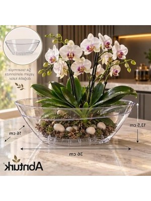 Die Grup 3.8lt Şeffaf Oval Orkide Saksısı - 36X16X13,5 cm Boyut