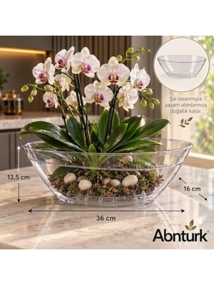 Die Grup Pratik Dayanıklı Şık 3.8lt Tabaklı Şeffaf Oval Orkide Saksısı-Ev Balkon Gondol Saksı 36X16X13,5CM