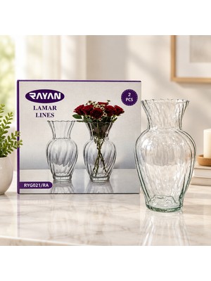 SBN - Store Vazo