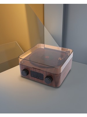 Astraltech Kahverengi Gramafon Hoparlör Bluetooth