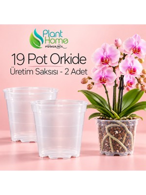 Plant Home Power Mix 19 Pot Orkide Üretim Saksısı - Köklü Tropikal Bitkiler Için Özel Üretim Saksısı Modern