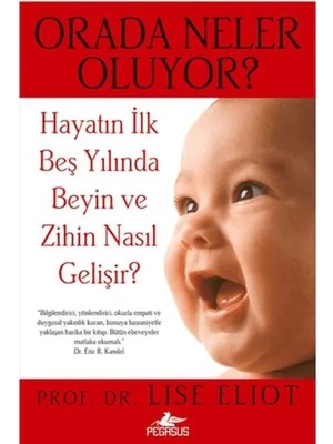 Orada Neler Oluyor