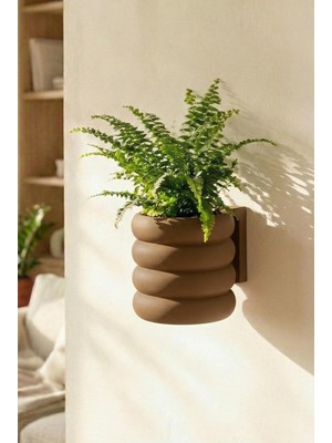 Vera Concept Store Terra Duvar Saksısı