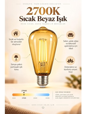 Vera Concept Store ST64 Dimmerli Rustik Gün Işığı 2700K Amber LED Ampul Filament E27 Duylu Filamanlı Edison Ampül
