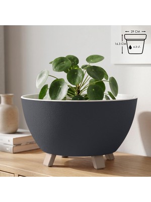 Vera Concept Store Sora Saksı Süzgeçli Ayaklı Delikli Plastik Aranjman Sukulent Saksısı (Antrasit, 6.3 Litre)