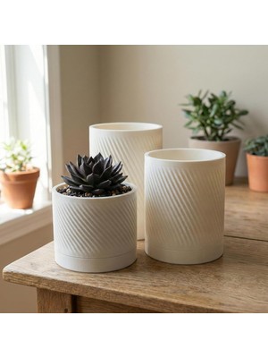 Vera Concept Store Comes - Kumru 3'lü Minimalist Dekoratif Saksı Seti (Beyaz)