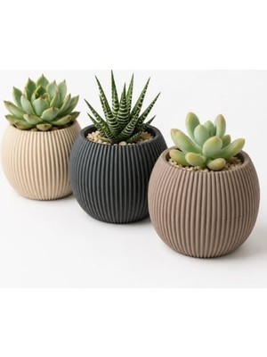 Vera Concept Store Modern Dekoratif Bitki Saksı Seti, 3 Adet, 0,70 Litre, Çok Renkli, Plastik, Yuvarlak