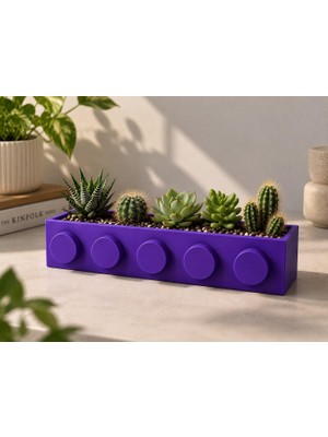 Vera Concept Store Blok Tasarımlı Mor Saksı | Dikdörtgen Mor Sukulent ve Kaktüs Saksısı