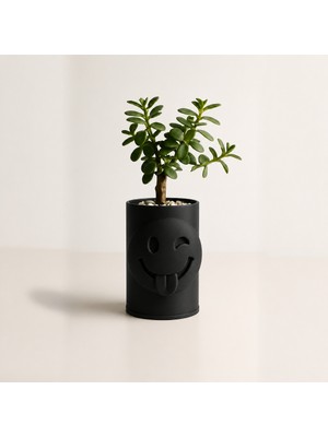Dolozena 3D Baskı Emoji Planter - Göz Kırpan Yüzlü Sukulent Saksısı-Siyah
