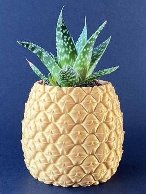 Dolozena 3D Baskı Ananas Formlu Saksı ve Kalemlik Kabartma Dokulu Sukulent Saksısı Masaüstü Bitki ve Kalem Tutucu