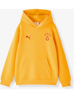 Puma Galatasaray 26/27 Çocuk Gri Kapüşonlu Üst.25